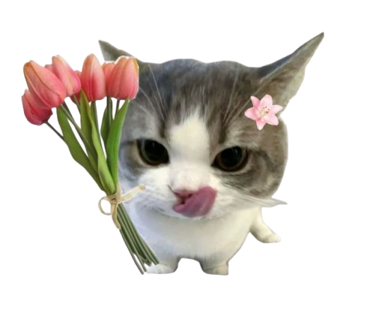 Dekoratif baharın güzellliği